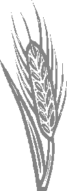 MCj03532350000[1]